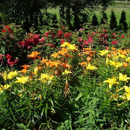 Juhlamenot Oy * Sipoo