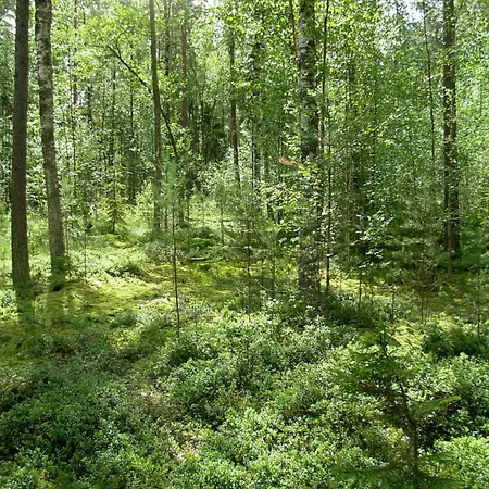 Juhlamenot Oy Prázdninový dům *