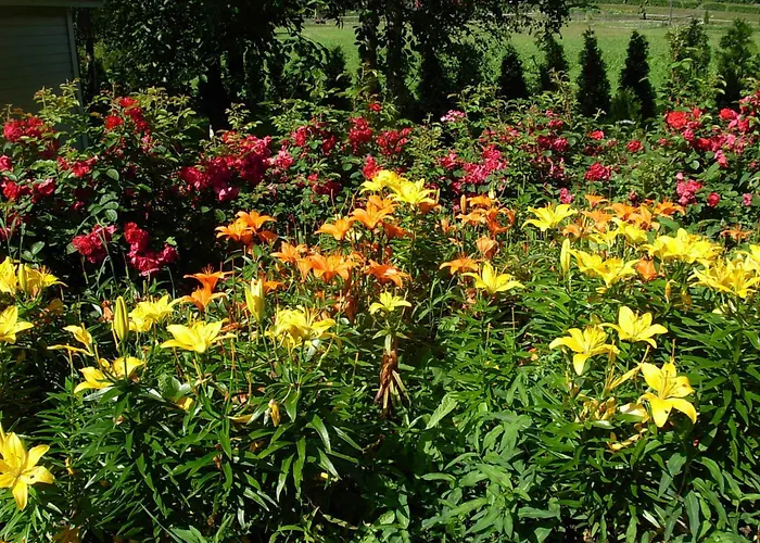 Juhlamenot Oy * Sipoo