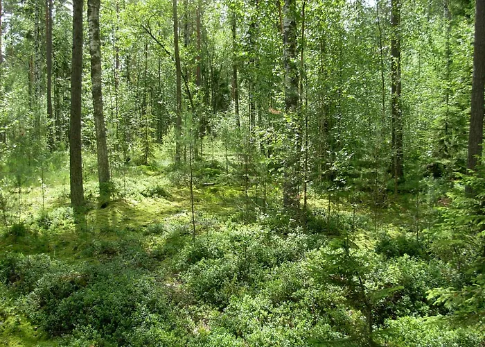 Juhlamenot Oy Ferienhaus *